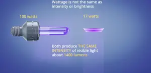 Nail Lamp Buying Guide: Wattage vs. Intensity & Safety