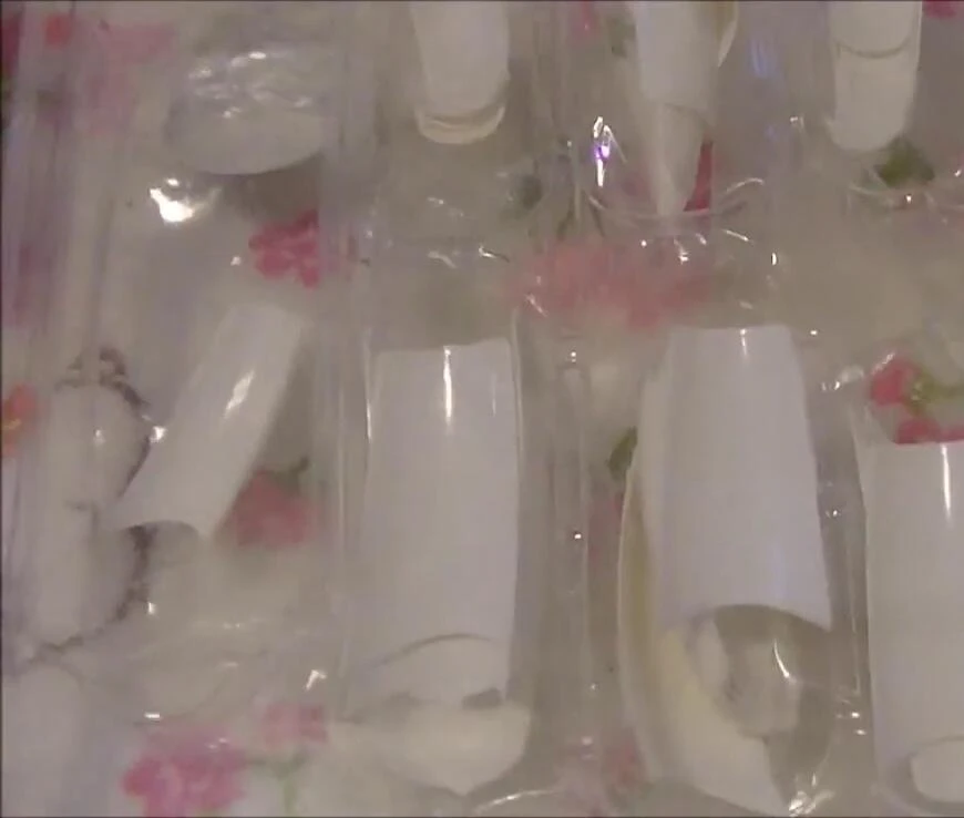 Showing the nail tips used