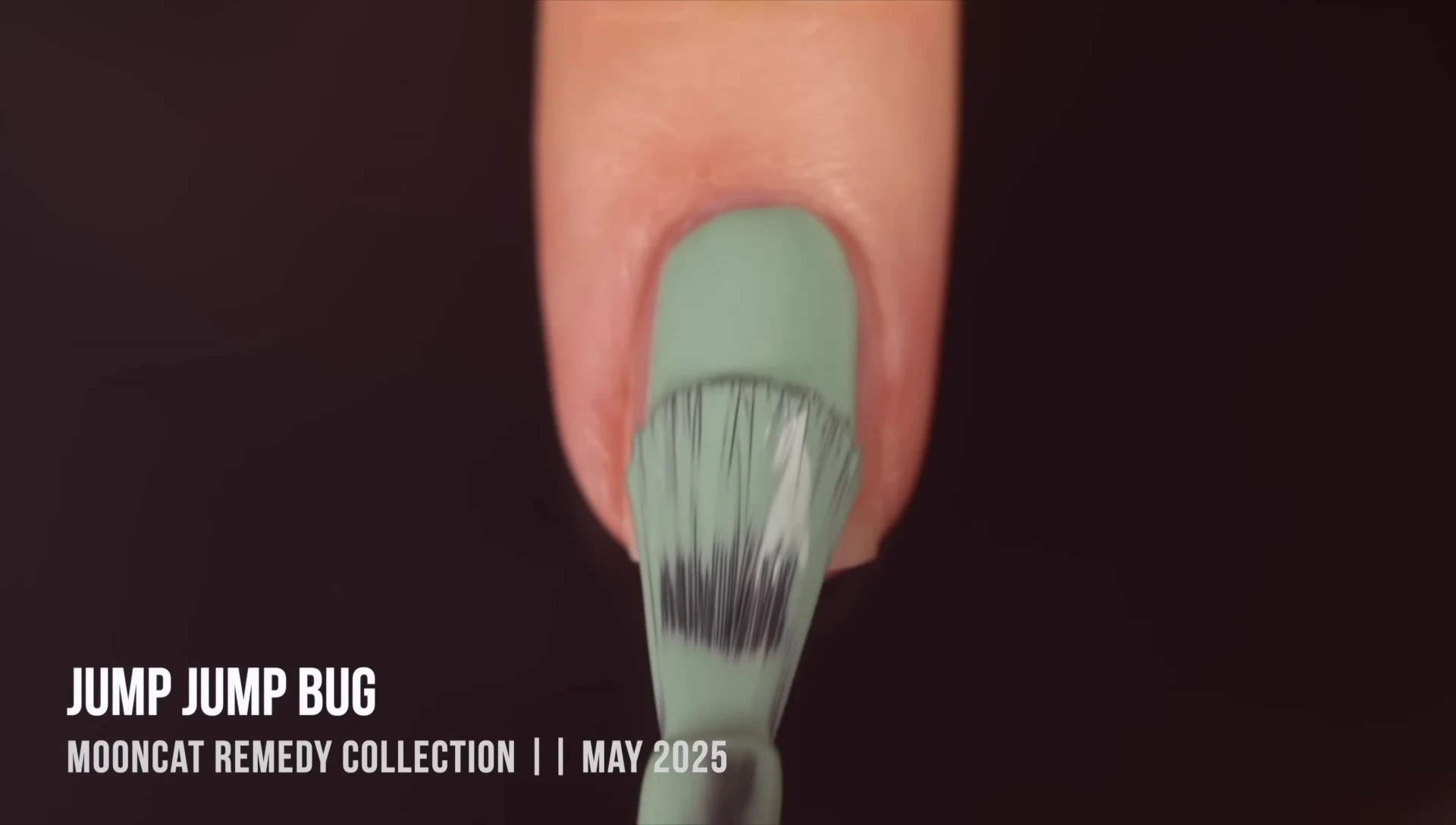 Jump Jump Bug Thermal Polish