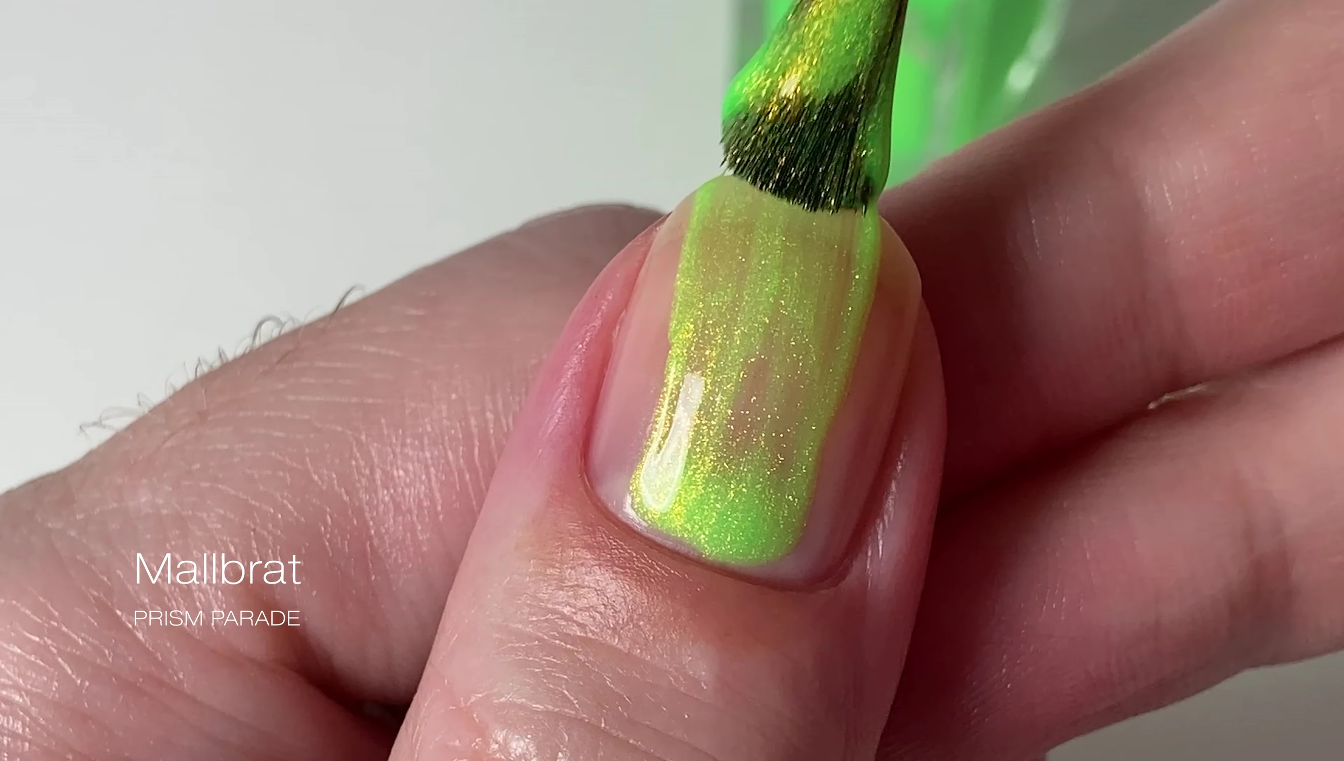 Close-up shot of Mal Brat, highlighting its chartreuse color and shimmer.