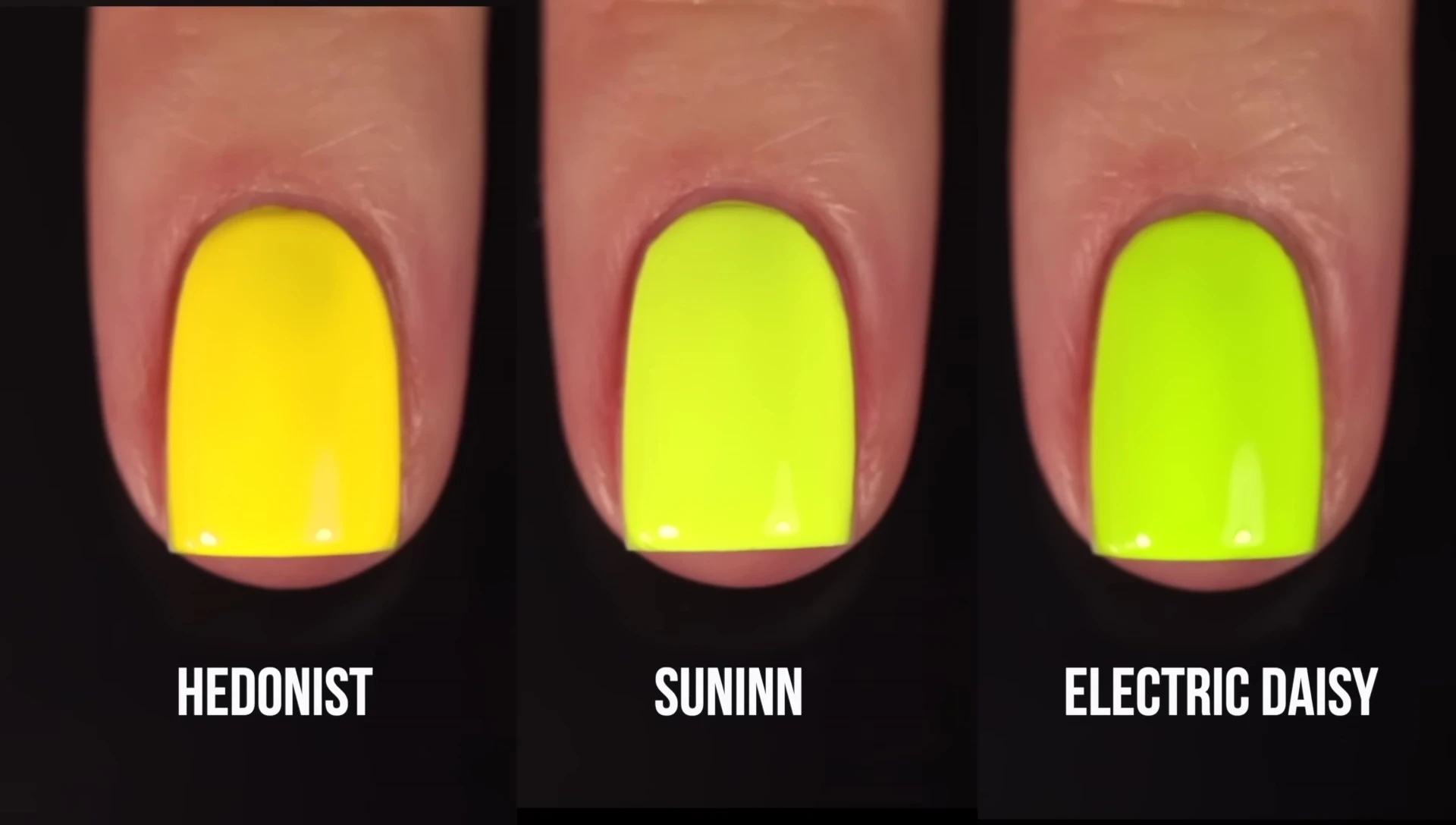 Comparison of Sunin with Hedonist and Electric Daisy