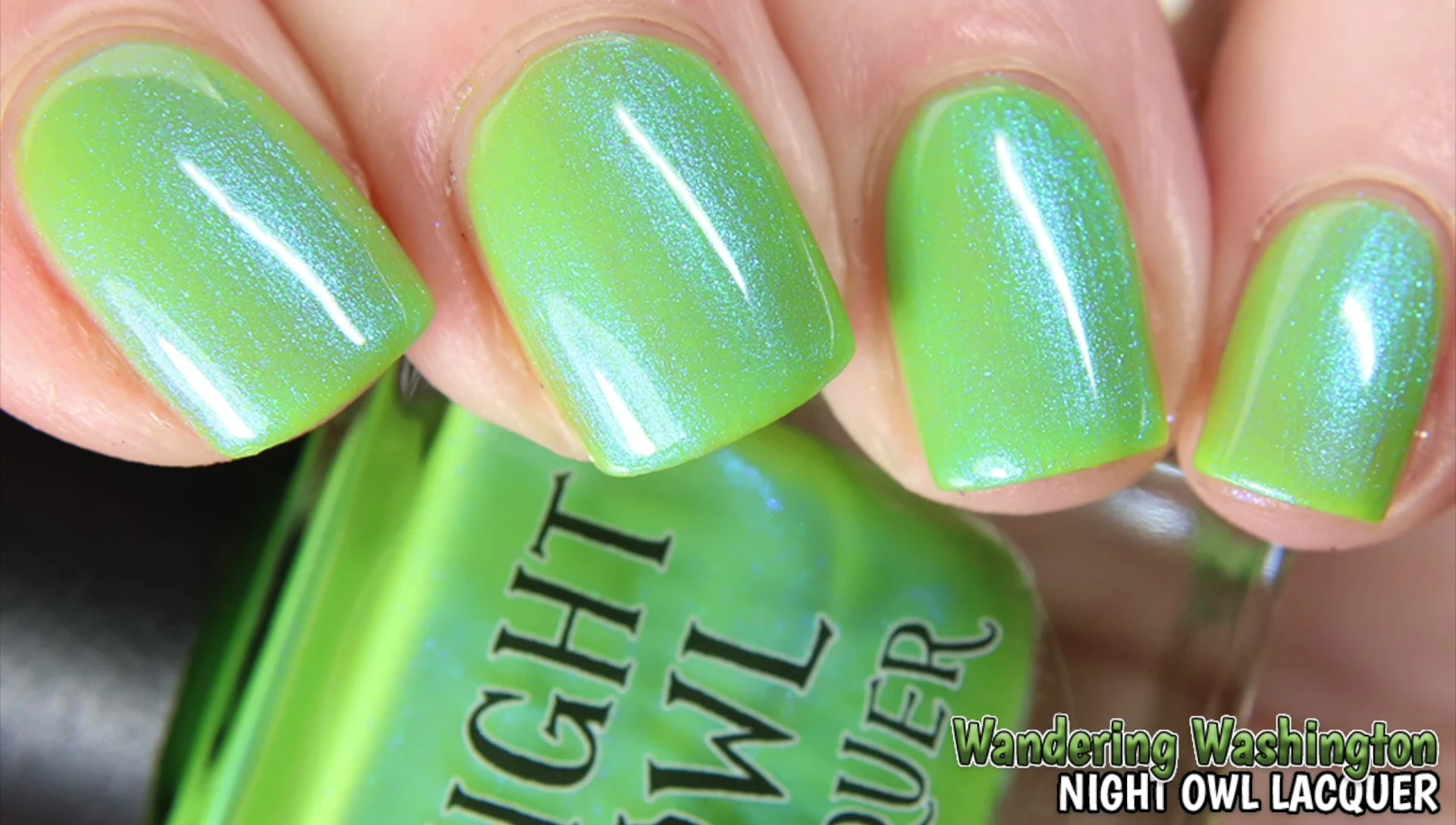 Night Owl Lacquers Wandering Washington swatch