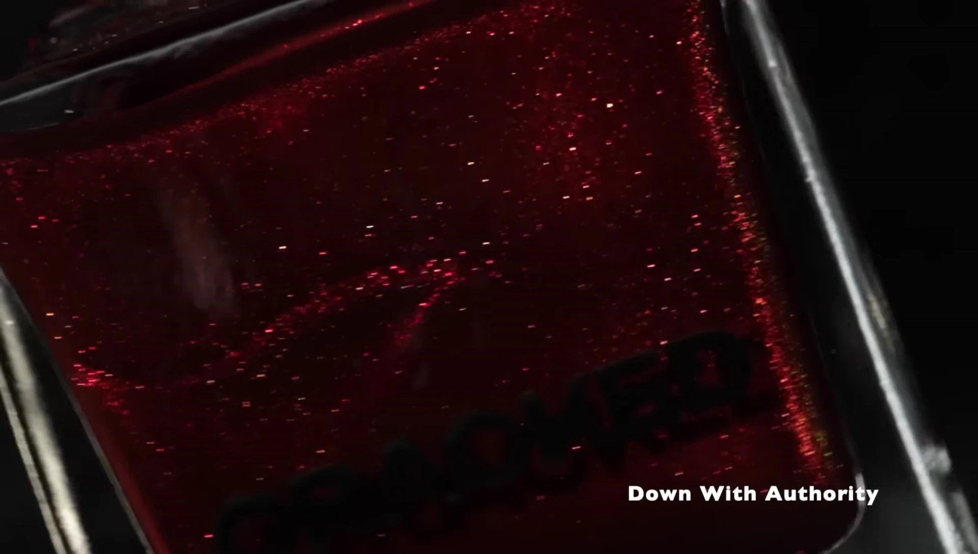 'Down With Authority' nail polish swatch